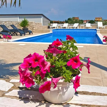 Fuer 6 Personen Ca 80 Qm In Fazana-surida, Istrien Istrische Riviera Apartment *